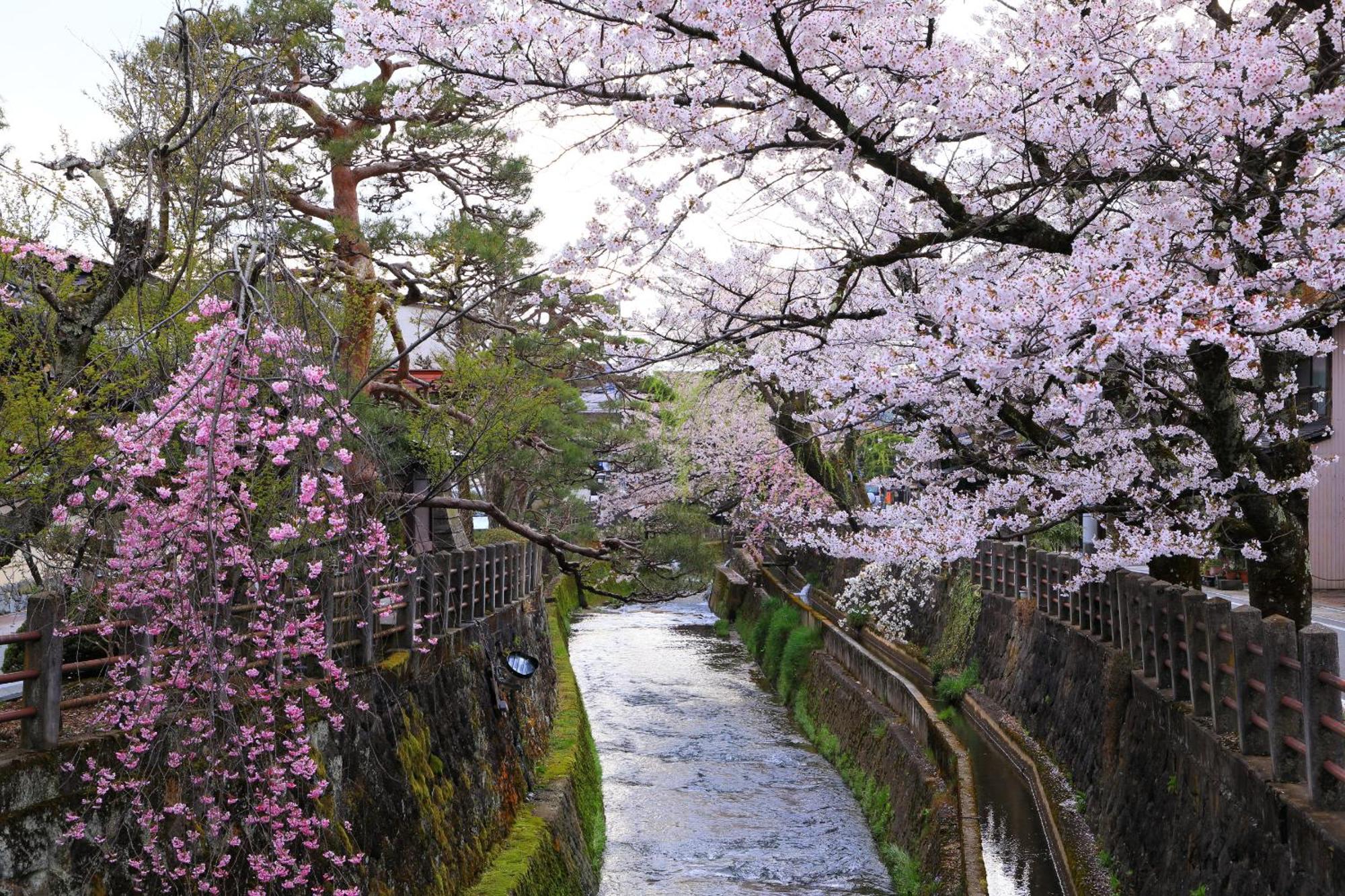 Apartamento Rikka Fukiya Takayama  Exterior foto